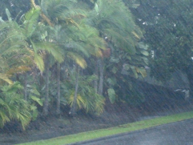 Hilo Rain